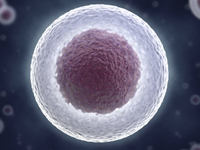 Single Cell Analysis Europe 2014